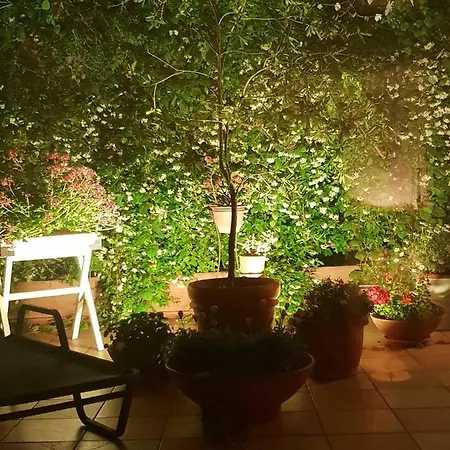 B&B Michelangelo-3